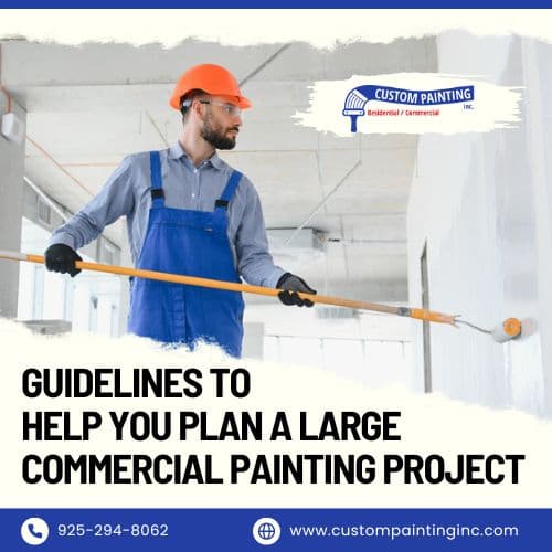 Lead Paint Consultation